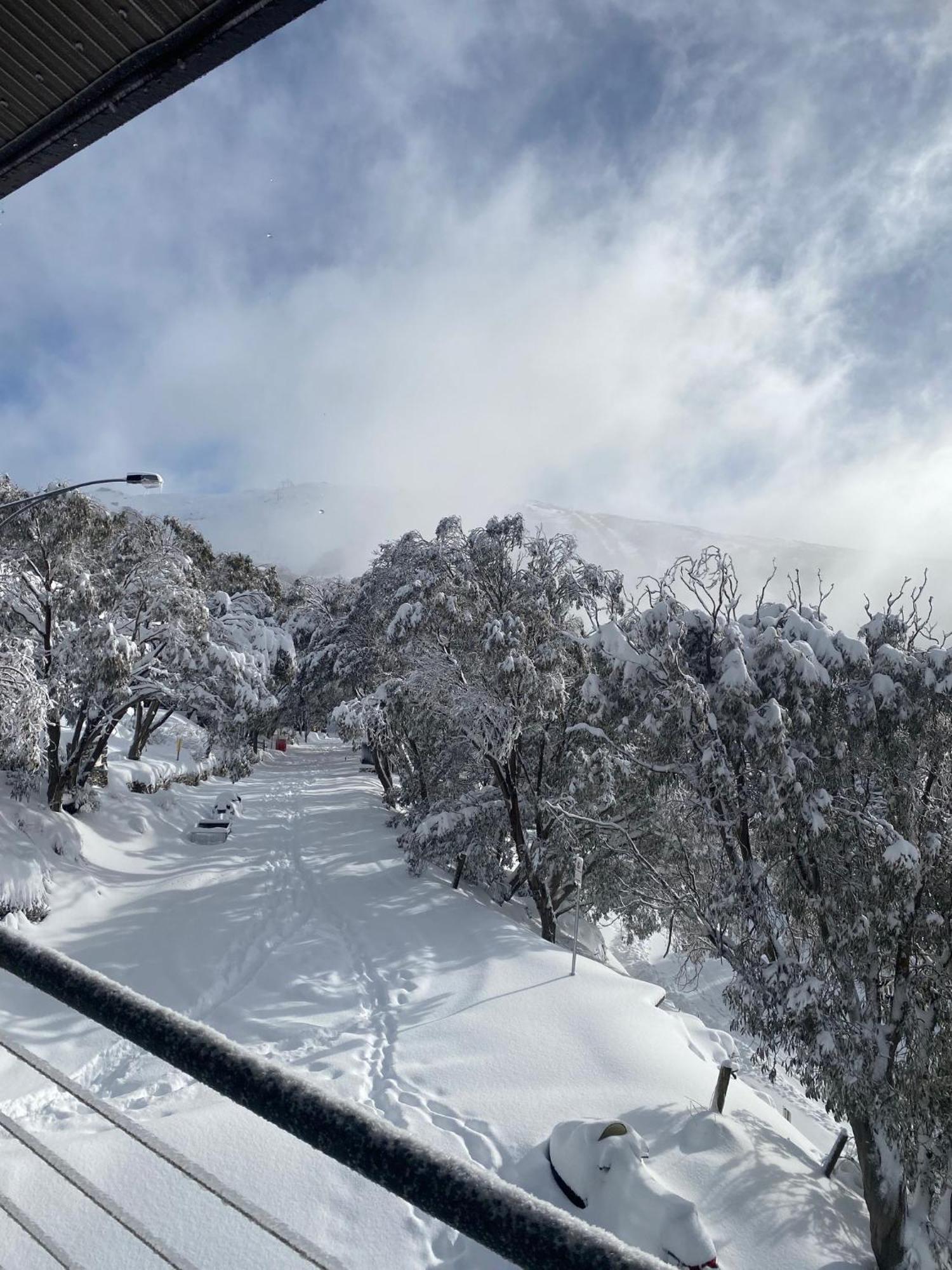 Alpine Woodsmoke Apartments Falls Creek Eksteriør billede