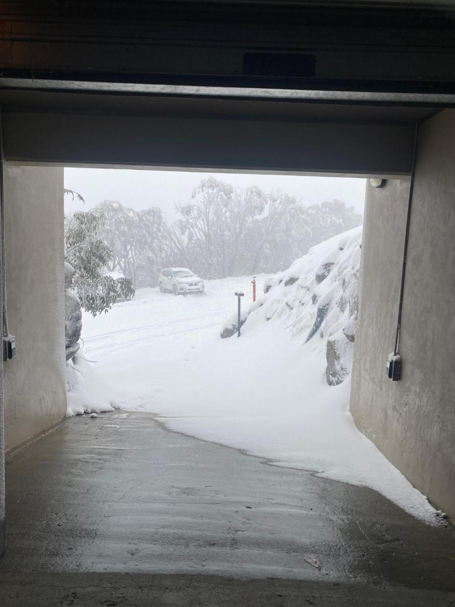Alpine Woodsmoke Apartments Falls Creek Eksteriør billede